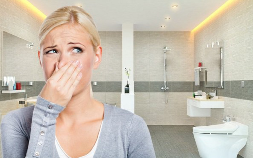 Tự xử lý mùi hôi nhà vệ sinh