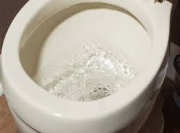 Dấu Hiệu Nhận Biết Hầm Cầu Bị Tắc