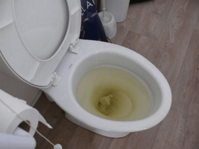 hầm cầu bị nghẹt do mỡ thừa