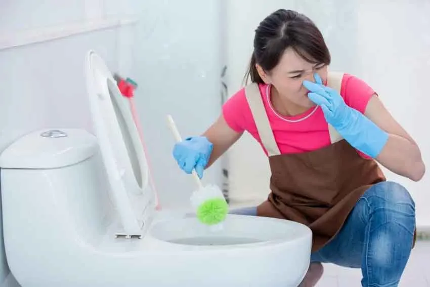 Hầm Cầu Bốc Mùi Có Nguy Hiểm Không